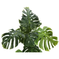 Artificial Plant, 55" Tall, Monstera Tree, Indoor, Faux, Fake, Floor, Greenery, Potted, Real Touch, Decorative, Green Leaves, Black Pot -Bold Design Store GUEST 1181f2ec 21ef 49f1 b713 027e9961466e