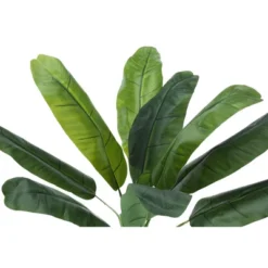 Artificial Plant, 43" Tall, Banana Tree, Indoor, Faux, Fake, Floor, Greenery, Potted, Real Touch, Decorative, Green Leaves, Black Pot -Bold Design Store GUEST 1aeed818 151e 43cb adab 606342c6b1d0