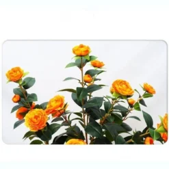 Artificial Camellia Tree 2 Pack, 36"Faux Camellia Plant In Pot With Orange Flowers, Greenery Potted Plant For Indoor Outdoor Office Home Porch Decor 18 Artificial Camellia Tree 2 Pack, 36"Faux Camellia Plant In Pot With Orange Flowers, Greenery Potted Plant For Indoor Outdoor Office Home Porch Decor -Bold Design Store GUEST 26022a48 e80a 47be a749 e9ff811655c8