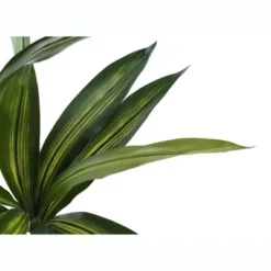 Artificial Plant, 51" Tall, Dracaena Tree, Indoor, Faux, Fake, Floor, Greenery, Potted, Real Touch, Decorative, Green Leaves, Black Pot -Bold Design Store GUEST 2efdc5c5 8650 4583 bbcb a49276bd3930