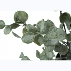 Artificial Plant, 35" Tall, Eucalyptus Tree, Indoor, Faux, Fake, Floor, Greenery, Potted, Decorative, Green Leaves, Black Pot 6 Artificial Plant, 35" Tall, Eucalyptus Tree, Indoor, Faux, Fake, Floor, Greenery, Potted, Decorative, Green Leaves, Black Pot -Bold Design Store GUEST 3405605c d19e 4893 8a4e c673a52c254e