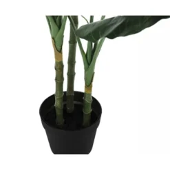 Front Page -Bold Design Store GUEST 3847b88b 43fd 4c6b baf6 896fceb02c76