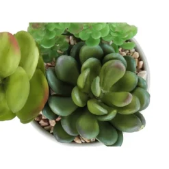 Artificial Plant, 7" Tall, Succulent, Indoor, Faux, Fake, Table, Greenery, Potted, Set Of 2, Decorative, Green Plants, White Ceramic Pots -Bold Design Store GUEST 40cb1ad7 be58 4eef b2e5 5082783a1bb4
