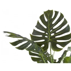 Artificial Plant, 55" Tall, Monstera Tree, Indoor, Faux, Fake, Floor, Greenery, Potted, Real Touch, Decorative, Green Leaves, Black Pot -Bold Design Store GUEST 501a7ac6 919b 4c9a b913 ab3e12da2697