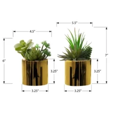 Artificial Plant, 7" Tall, Succulent, Indoor, Faux, Fake, Table, Greenery, Potted, Set Of 2, Decorative, Green Plants, Glossy Gold Pots -Bold Design Store GUEST 531a5ff2 f86a 456d 8e56 fa5d9072e6f7