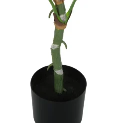 Artificial Plant, 54" Tall, Dieffenbachia Tree, Indoor, Faux, Fake, Floor, Greenery, Potted, Real Touch, Decorative, Green Leaves, Black Pot -Bold Design Store GUEST 58d1a2a0 1a0f 4692 96a6 06762ed6149d