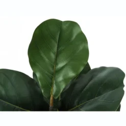 Artificial Plant, 49" Tall, Fiddle Tree, Indoor, Faux, Fake, Floor, Greenery, Potted, Real Touch, Decorative, Green Leaves, Black Pot -Bold Design Store GUEST 84d1be32 5040 49be a098 10042ee5a023
