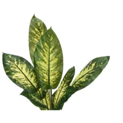 Artificial Plant, 47" Tall, Evergreen Tree, Indoor, Faux, Fake, Floor, Greenery, Potted, Real Touch, Decorative, Green Leaves, Black Pot -Bold Design Store GUEST 989c81a5 7ee6 40ab 95ee 6ba50f027d7a