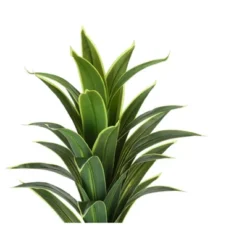 Artificial Plant, 47" Tall, Dracaena Tree, Indoor, Faux, Fake, Floor, Greenery, Potted, Real Touch, Decorative, Green Leaves, Black Pot -Bold Design Store GUEST ada747ce f692 4c87 878e 6e858a21897a