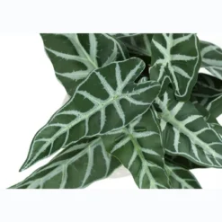 Artificial Plant, 8" Tall, Alocasia, Indoor, Faux, Fake, Table, Greenery, Potted, Set Of 2, Decorative, Green Leaves, White Cement Pots -Bold Design Store GUEST b3601141 d337 419c b1e3 15229cf3fd5d